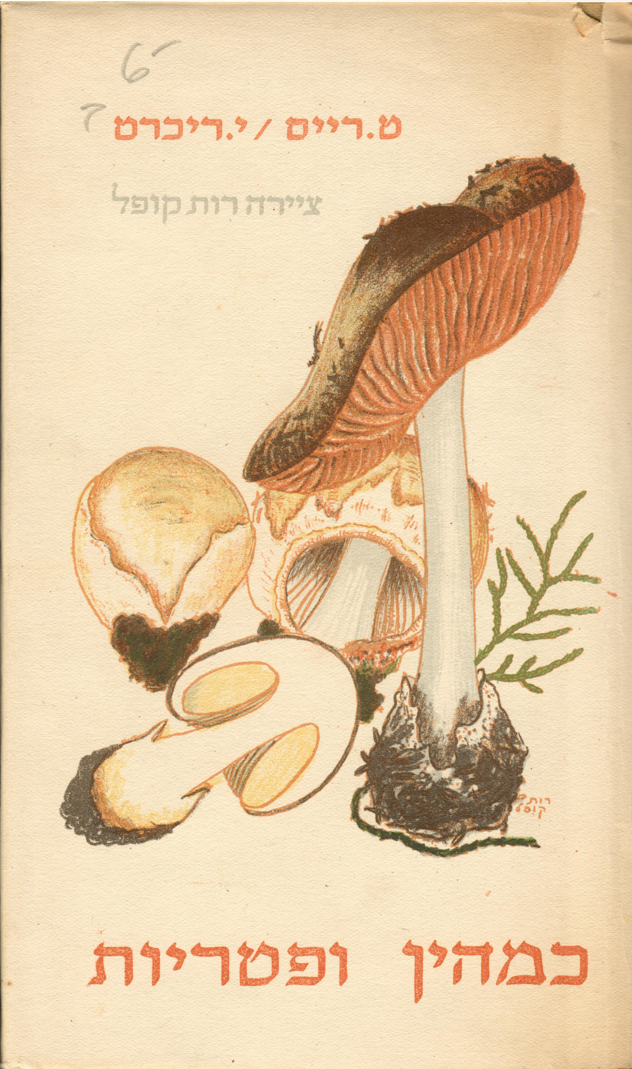 כמהין ופטריות.